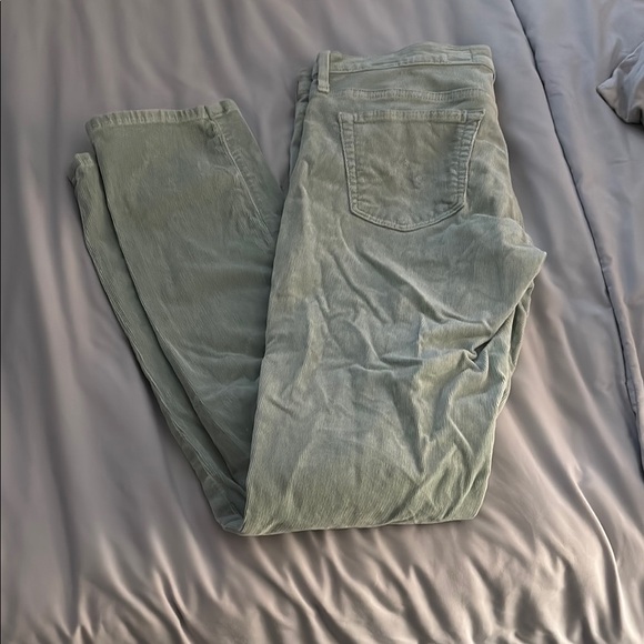 Light Green/blue Corduroy Pants - Picture 1 of 2